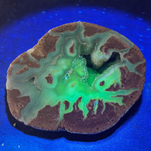 Load image into Gallery viewer, Blue Quartz Dugway Geode Ice Crystals Chamber