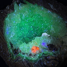 Load image into Gallery viewer, Blue Crystal Chambered Dugway Geode - Green Red Blue Fluorescense