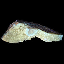 Load image into Gallery viewer, Septarian Geode Slice - Packed Yellow Crystals