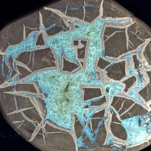 Load image into Gallery viewer, Septarian Geode - Gray Islands Golden Calcite Crystal