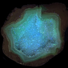Load image into Gallery viewer, Blue Dugway Open Geode Fluorescent Green