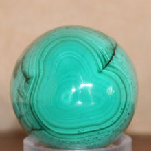 Load image into Gallery viewer, Bottom View