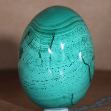 Load image into Gallery viewer, Congolese Malachite Crystal Mineral egg