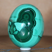 Load image into Gallery viewer, Malachite Ice Flows - Crystal Mineral - Hand Shaped Egg