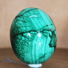 Load image into Gallery viewer, Malachite Ice Flows - Crystal Mineral - Hand Shaped Egg