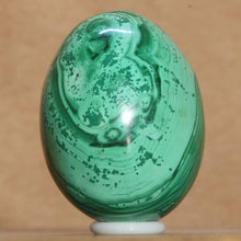 Load image into Gallery viewer, back view