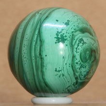 Load image into Gallery viewer, bottom view