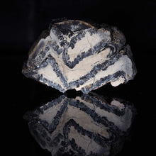 Load image into Gallery viewer, Fossil Mammoth Tooth in Display Case