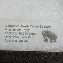 Load image into Gallery viewer, Detail of label