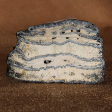 Load image into Gallery viewer, Cross Section Mammoth Fossil Tooth