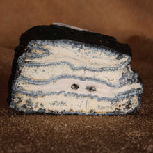 Load image into Gallery viewer, Cross Section Mammoth Fossil Tooth