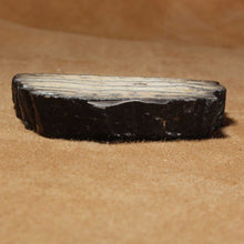 Load image into Gallery viewer, Side view of Mammoth Tooth