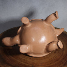 Load image into Gallery viewer, Ms. Marta Gonzalez - Ancient Paquime Tortoise - Mata Ortiz Pottery