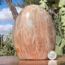 Load image into Gallery viewer, Moonstone Heavy Crystal Display Quality Mineral