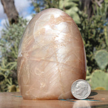 Load image into Gallery viewer, Moonstone Iridescent Crystal Display Mineral