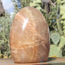 Load image into Gallery viewer, Moonstone Iridescent Crystal Display Mineral