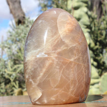 Load image into Gallery viewer, Moonstone Iridescent Crystal Display Mineral