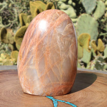 Load image into Gallery viewer, Moonstone Adularescent Crystal Display Mineral