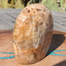 Load image into Gallery viewer, Round Moonstone Crystal Display Mineral