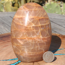 Load image into Gallery viewer, Moonstone Adularescent Effect Crystal Mineral