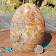 Load image into Gallery viewer, Moonstone Adularescent Effect Crystal Mineral