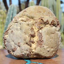 Load image into Gallery viewer, Oregon Thunderegg - Rich Contrasting White Stone Blue Crystal