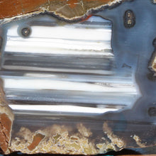 Load image into Gallery viewer, Oregon Thunderegg - Rich Contrasting White Stone Blue Crystal