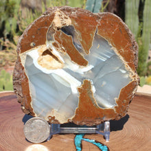 Load image into Gallery viewer, Oregon Thunderegg - Double Nodule Blue Striations