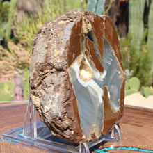 Load image into Gallery viewer, Oregon Thunderegg - Double Nodule Blue Striations