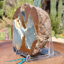 Load image into Gallery viewer, Oregon Thunderegg - Double Nodule Blue Striations