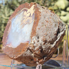 Load image into Gallery viewer, Oregon Thunderegg - Whistler Springs - Open Chamber