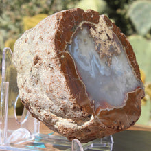 Load image into Gallery viewer, Oregon Thunderegg - Whistler Springs - Open Chamber