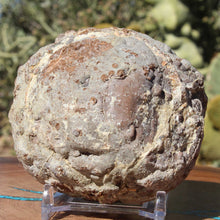 Load image into Gallery viewer, Oregon Thunderegg - Whistler Springs - Open Chamber