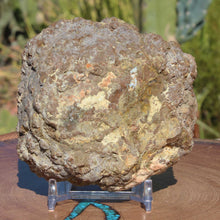 Load image into Gallery viewer, Oregon Thunderegg - Fractal Window Blue Striations