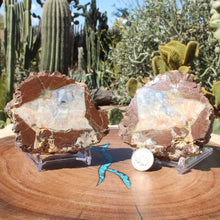 Load image into Gallery viewer, Matching Pair Oregon Thunderegg Halves - Whistler Springs