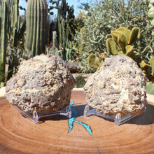 Load image into Gallery viewer, Matching Pair Oregon Thunderegg Halves - Whistler Springs