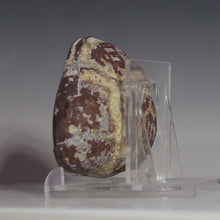 Load and play video in Gallery viewer, Soft Blue Dugway Geode Half Prominant Open Chamber