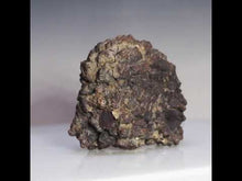 Load and play video in Gallery viewer, Tortoise Fossil Feces - Madagascar Original