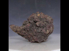 Load and play video in Gallery viewer, Tortoise Fossil Poop - Madagascar Original