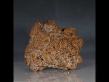 Load and play video in Gallery viewer, video of Feces Madagascar Fossil Tortoise Poop