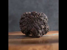 Load and play video in Gallery viewer, Tortoise Fossil Feces - Madagascar