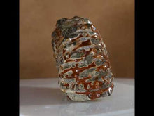 Load and play video in Gallery viewer, video of Rich Iron Red Douvilleiceras Tractor Ammonite