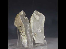 Load and play video in Gallery viewer, Tamp Bay Geode Coral Pair - Soft White with Chamber