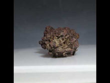 Load and play video in Gallery viewer, Fossil Tortoise Poop - Madagascar