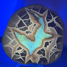 Load image into Gallery viewer, Septarian Display Geode - Golden Calcite Crystal