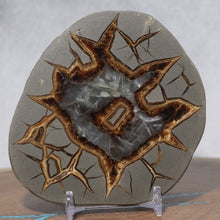 Load image into Gallery viewer, Septarian Geode - Nebula Dark Calcite Crystalization