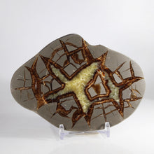 Load image into Gallery viewer, Septarian Geode - Double Starburst - Golden Calcite