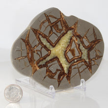 Load image into Gallery viewer, Septarian Geode - Double Starburst - Golden Calcite
