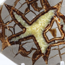 Load image into Gallery viewer, Septarian Geode - Double Starburst - Golden Calcite
