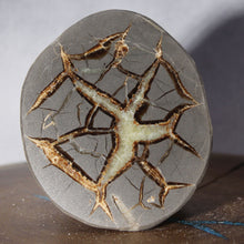 Load image into Gallery viewer, Septarian Geode - Crab Shape Golden Calcite Crystal